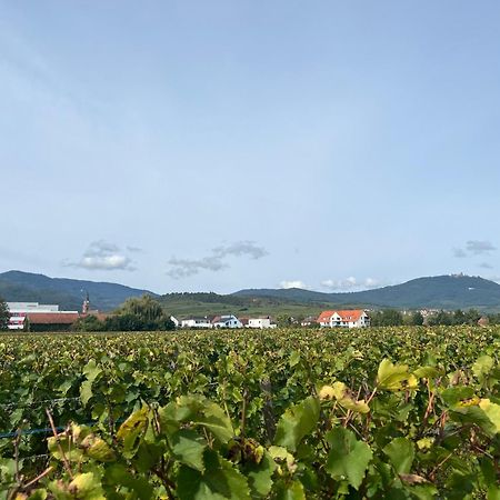 Oasis Tout Confort A Bergheim, Alsace Exteriör bild