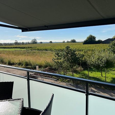 Oasis Tout Confort A Bergheim, Alsace Exteriör bild