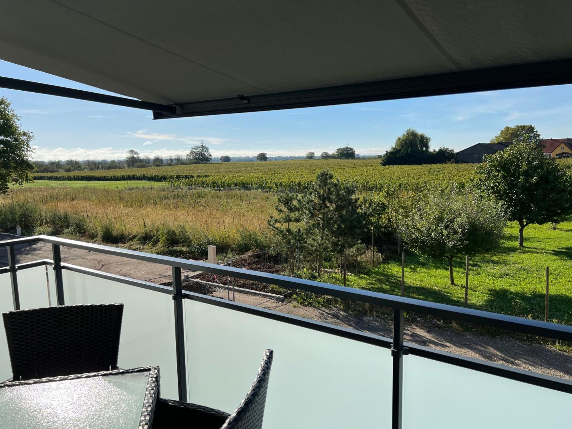 Oasis Tout Confort A Bergheim, Alsace Exteriör bild